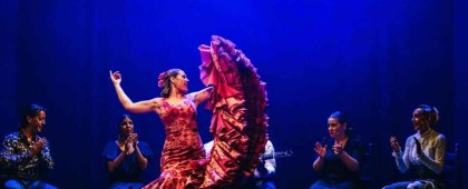 Madrid: "Emociones" Live Flamenco Performance